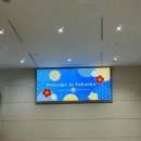 천상셀프세차 | 후쿠오카여행 DAY 1
