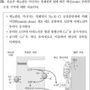 2017 MD 29번 레닌 분비 조절 이미지