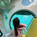 황제잠수함 | 제주 아이랑 잠수함타고 무료 낚시체험도 하는 함덕잠수함