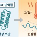 새살약국 | 약국 EGF 이지에프 새살 연고 Easyef Oint. 구매전 후기