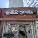 끌레오헤어비스