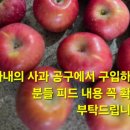 맛없으면사과