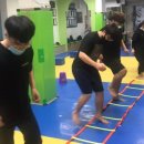 경희대 인수 태권도 이미지