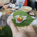 오징어와친구들 | 대전 오류동[오징어와 친구들] 방문 후기.술맛나는곳