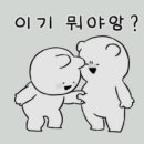 머스트핏 이미지