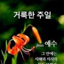 그송아지의 피전부를 이미지