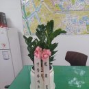 이미자 공인중개사사무소 이미지