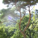 공주-09 이미지