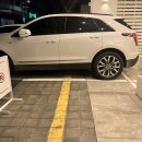 로로러버스 이미지