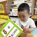 (특성화)동그라미 곰돌이얌얌 이미지