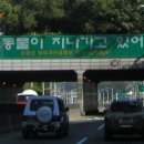 야그꺼리 Daum카페