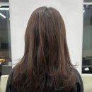 CU(청산) | 교대역 미용실 오즈 서초교대점 선욱디자이너 퍼스널컬러 염색 후기