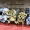 웨스턴헤이(주) 이미지