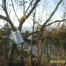 나원1리 이미지