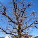 고목경로당 이미지