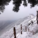 산외한우마을