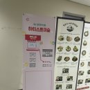 하티스트미술교습소 이미지