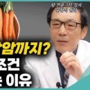 당근 효능 칼로리 당근즙 당근쥬스 이미지