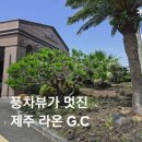파인골프클럽 | 제주 라온골프클럽 후기 | 타이거우즈가 극찬한 명문 골프장