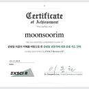 리바이브 PT 이미지