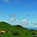 샛별목장 이미지