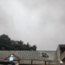 강릉옥수수집 이미지