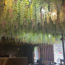 고도일병원 | [서울 강남 신논현 / 강남모밀무이] 서비스응대와 주차안내, 모두 아쉬웠던 솔직후기🥹