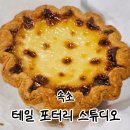 속초 카페 추천 | 테일포터리 스튜디오 감자타르트