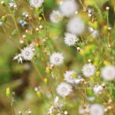 상만목장 | 서산 1박 2일 여행 코스 시골투어로 떠났던 서산 9경 스탬프 투어