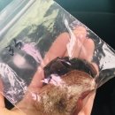 금당약업사 이미지