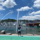 장흥우체국 | 장흥)2025 정남진장흥물축제 전남여름축제 일정정보 및 후기 주차정보