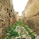 STEADY(스테디) 이미지