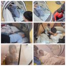 경희 효 태권도장 이미지