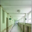 불티나분식 - 상주시 서성로 36 | 불티나분식