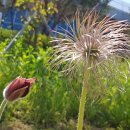 좌광천산책로2 이미지