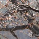 장군치안센터 이미지