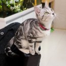 마리이야기 이미지