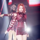 판다미