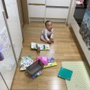 별초롱유치원 | D+18개월 5주 : 아기 퍼즐/바늘 꿰기 교구/장미의 계절/안과 굴절검사 (안면홍조, 어지럼증)/강원도...