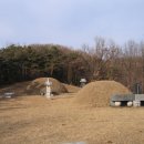 수의동강촌 이미지