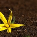 건강에 대한 고민 해결방법 이미지