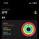 바닐라샵 이미지