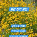 2026년 6월 14일 (일요일) 포항사즐모 6월 정기모임에 회원님들을 초대합니다 이미지