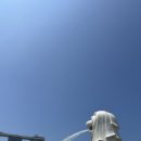 가든 오브 클라우드 | 싱가포르 여행 4일차 : 머라이언파크, 가든스바이더베이, 마리나베이샌즈몰, 카지노, 쥬얼창이