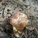 삼마농장 이미지