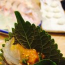 도심속바다 이미지