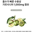 모데오