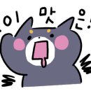 영동한울캠핑장 이미지