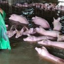 제현농장 이미지