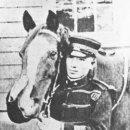 장성공설운동장 11 이미지